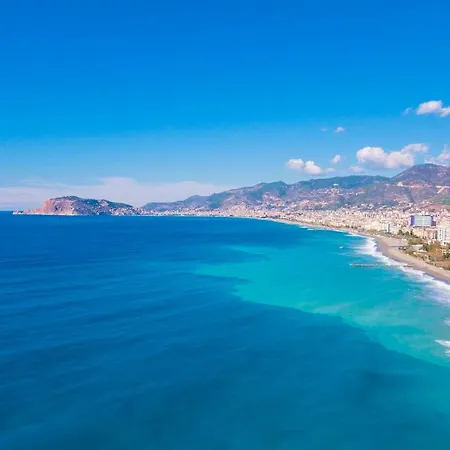 Lory Queen Alanya